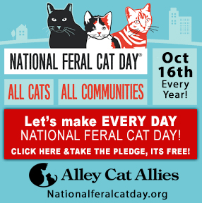 National Feral Cat Day Alley Cat Allies