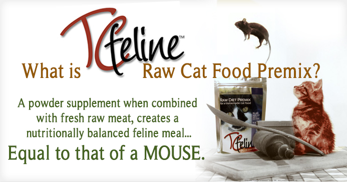 Provide Your Feline with Their Natural Diet - Raw Cat Food